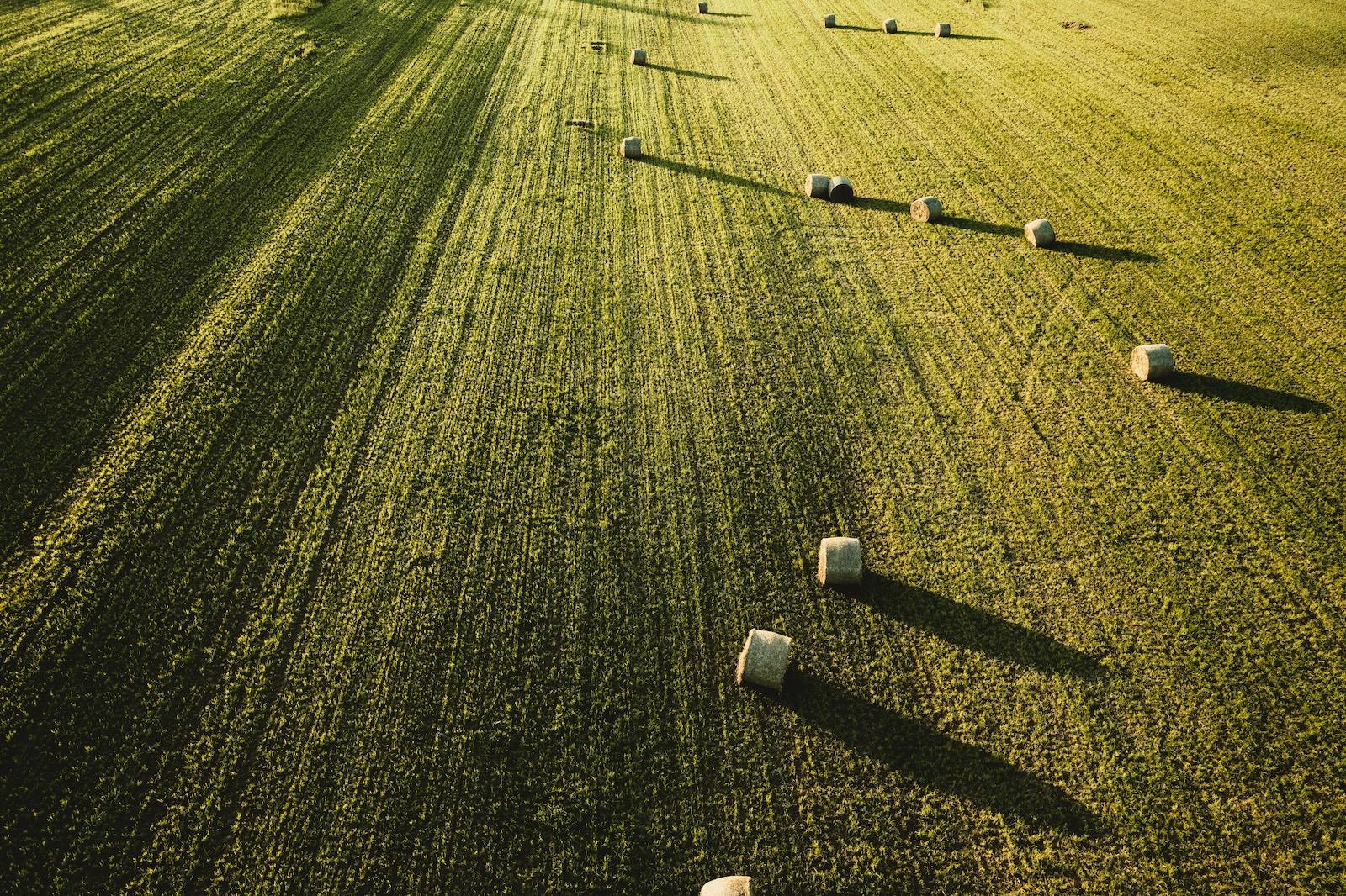 Агросектор та полив